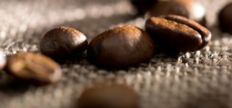 커피의 품종은 50가지가 넘습니다.
