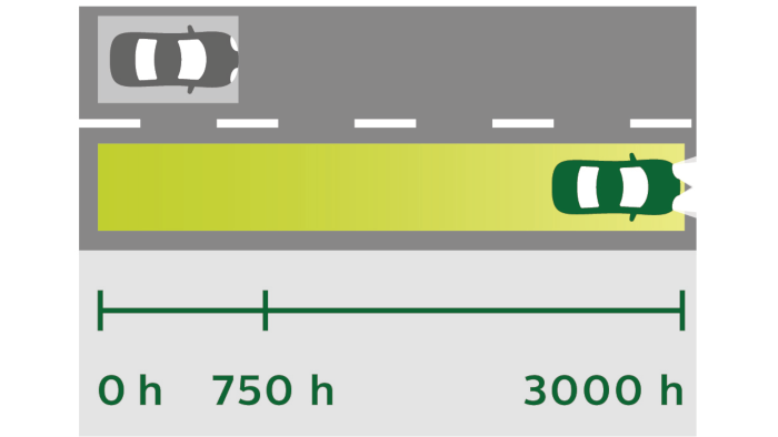 longlife ecovision 비교